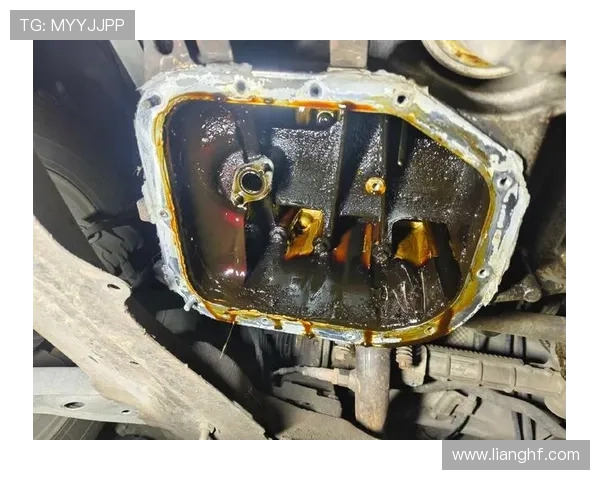 189个零件！换了这么多就是不肯换发动机！